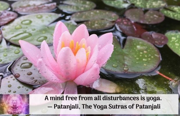 Yoga Quotes For Facebook With Images | Yoga Quotes For WhatsApp Status With Images