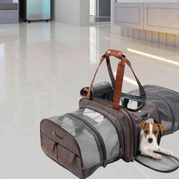 Vacation With Your Pet - Pet carrier