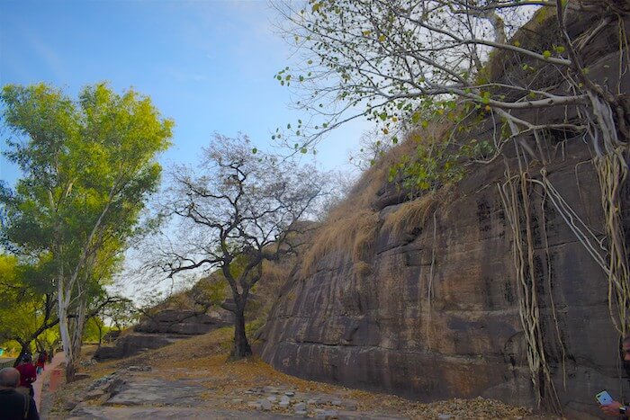 path leading to Udayagiri Caves