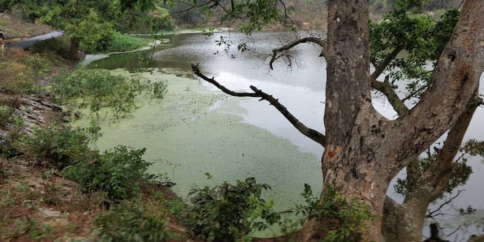 Lake at Bannerghatta Nature Camp Bangalore