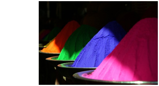 Best Holi Captions For Instagram | Instagram Captions For Holi