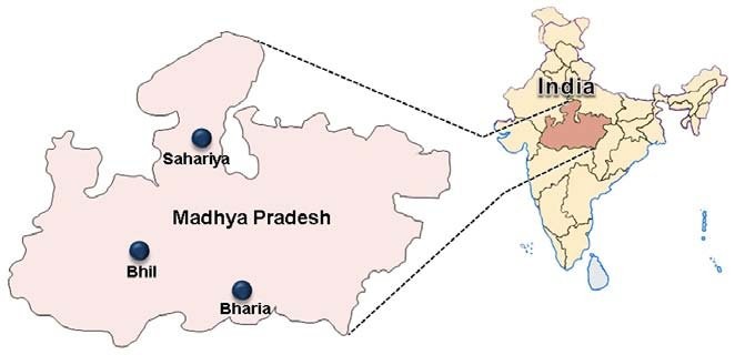 Bharia Tribe In India Map 
