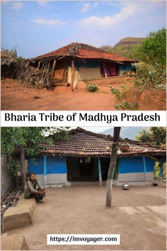 Fascinating Bharia Tribe – Madhya Pradesh’s Medicine Men