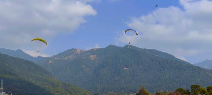 Paragliding at Bir