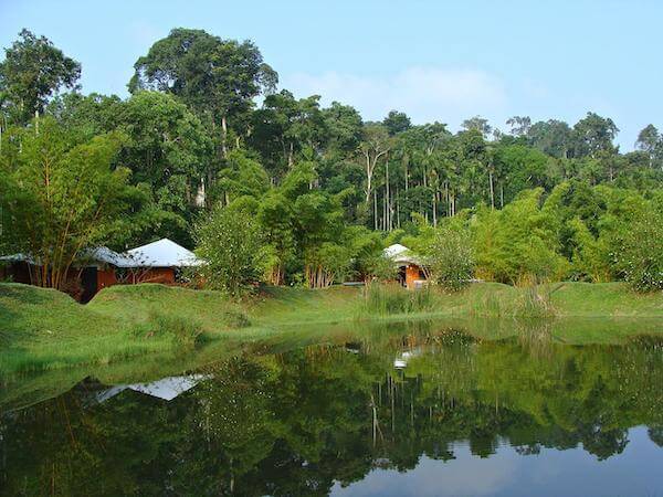 Places to Visit In India In August - Coorg