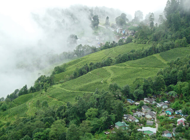 Places to Visit in India in August - Darjeeling