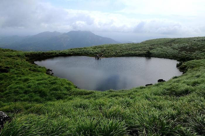 Places to Visit in India in August - Wayanad
