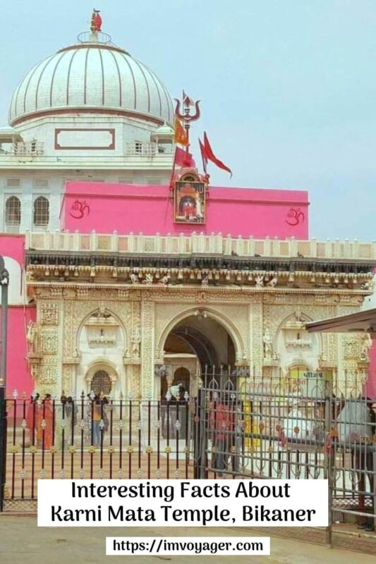Facts About Karni Mata Temple in Bikaner 