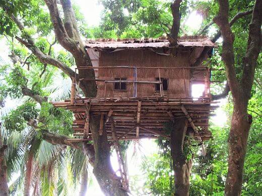 Get Closer To Nature By Staying In A Treehouse – 10 Offbeat Things To Do In Kerala