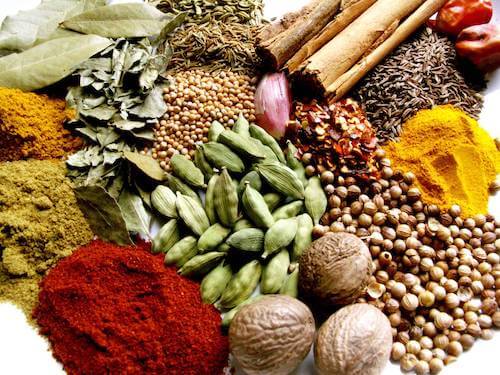 Take A Spice Tour – Top 10 Things To Do On Your Next Visit To Kerala
