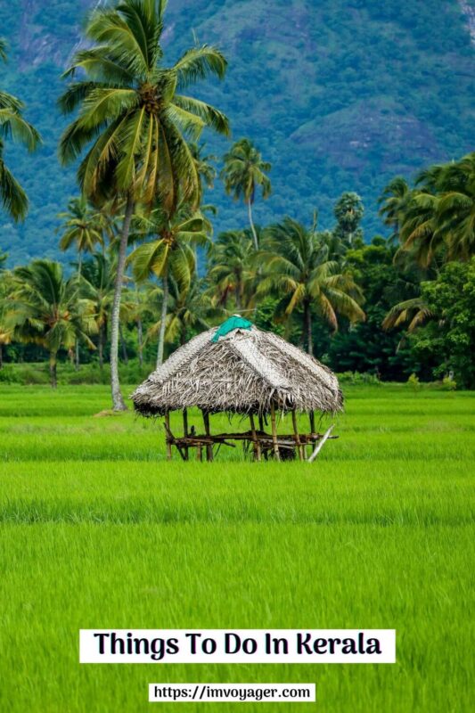 Best 10 Offbeat Things To Do In Kerala On Your Next Visit