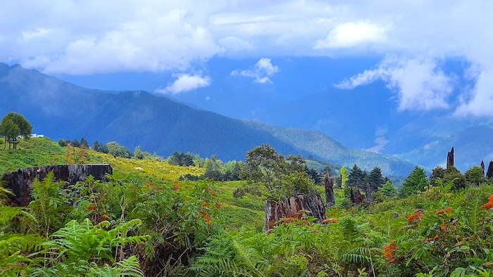 Visiting Mandala Top Near Dirang Arunachal Pradesh | The Road From Dirang