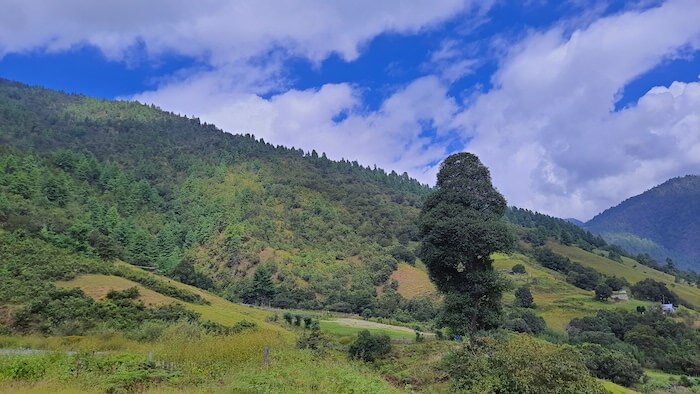 How To Reach Sangti Valley Arunachal Pradesh