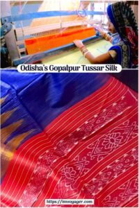 Odisha’s Gopalpur Tussar Silk Fabrics Famous GI Tag Tussar