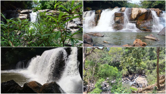 Images of Mookanamane Falls