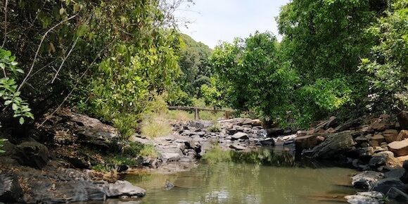 Mookana Mane Falls