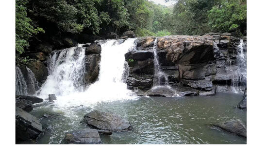 Charming Mookanamane Falls, Sakleshpur, Karnataka
