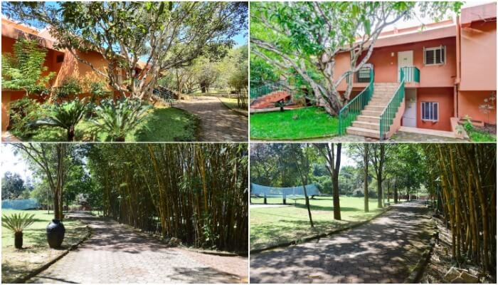 Images of JLR King Sanctuary - Nagarhole Resorts | Jungle Lodges
