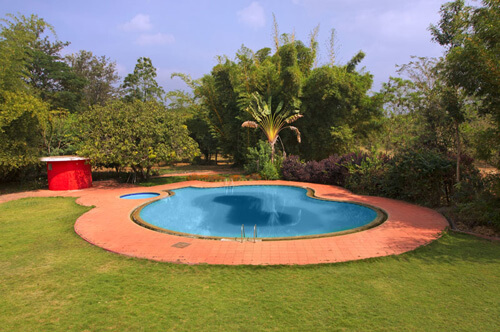 Kings Sanctuary Nagarahole Swimming Pool