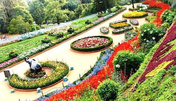 Botanical Gardens, Ooty - 3 Days Ooty Itinerary
