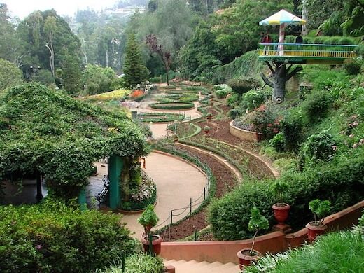 Ooty 3 Days Itinerary - Botanical Gardens, Ooty