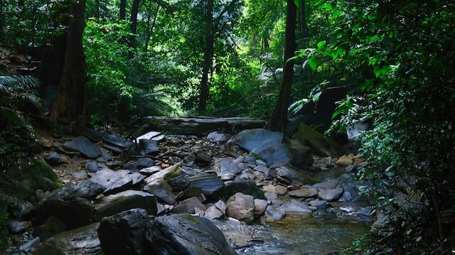 Best Places To Visit In Monsoon In South India - Agumbe