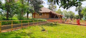Janapada Library Celebrating World Folklore Day At Janapada Loka Ramanagara