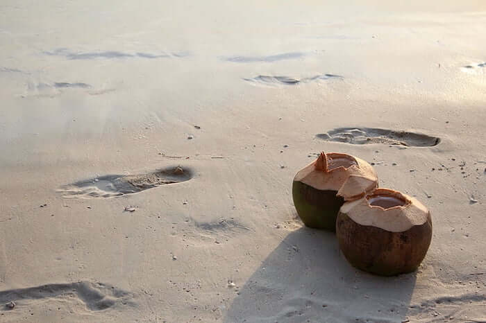 Coconut at Gokarna beach