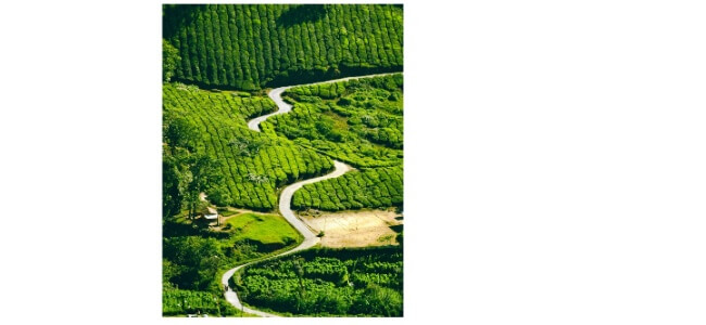 Most Scenic Roads In India - Amazing Trips By Car Or Bus