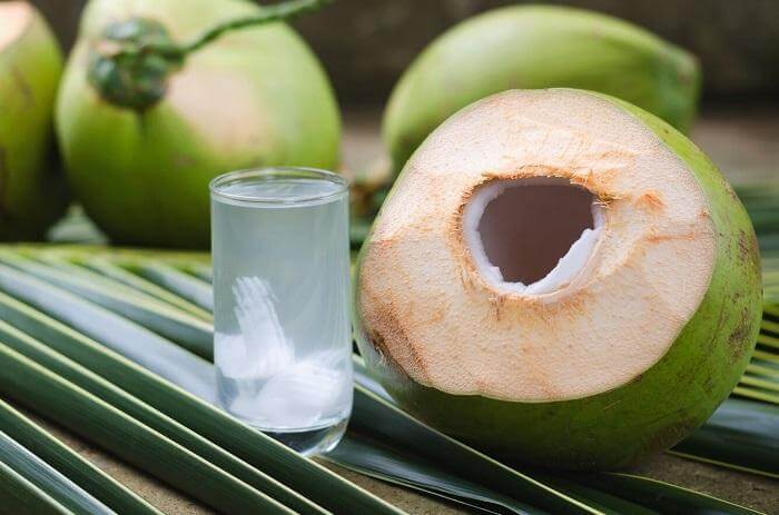 Coconut Water - Indian Summer Drink