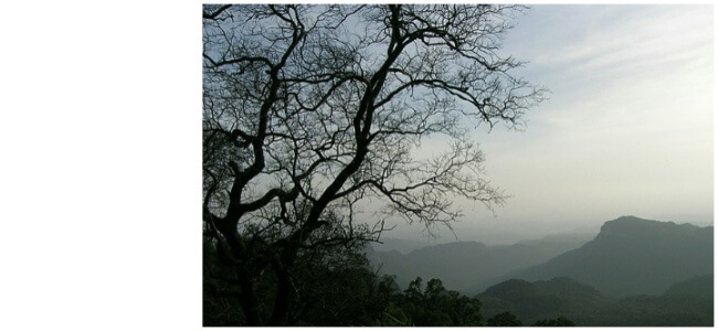 Amazing Hill Stations In Madhya Pradesh