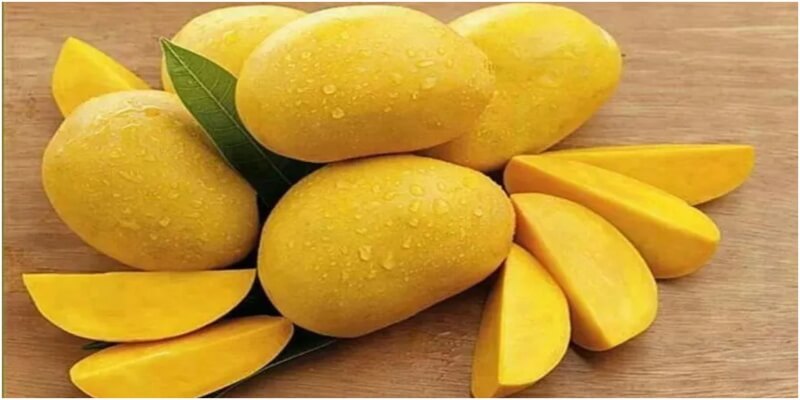 Mango Quiz With Answers