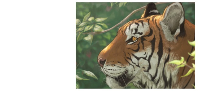 Quiz On Tigers With Answers - Questions About Tigers