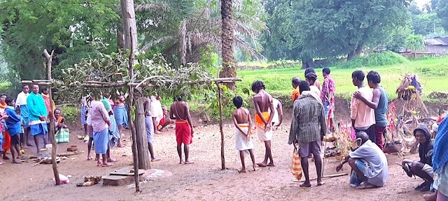 Festivals Celebrated in Bastar - Navakhai Tihar