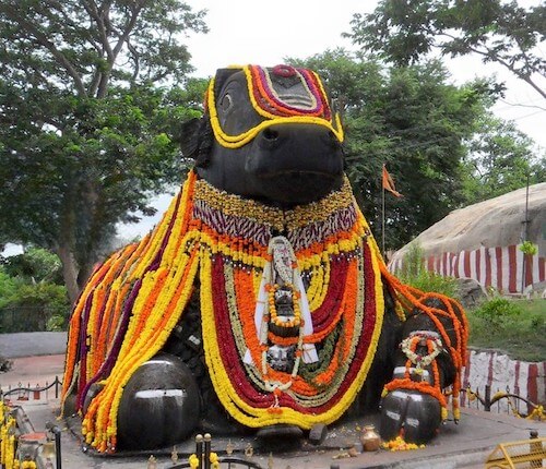 Nandi of Mysore