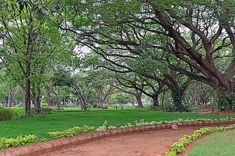 Weather in Mysuru | Mysore Weather