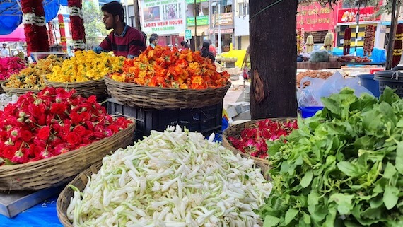 Gandhi Bazaar Bangalore