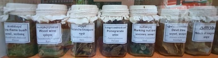 Bringing Alive Ayurvedic Practices - Vaidyaratnam Ayurveda Museum