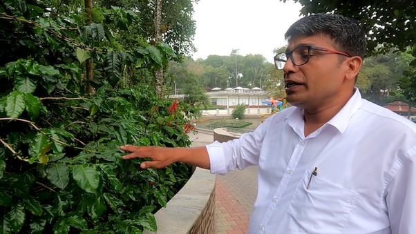 Nature Walks At Regenta Resort Sakleshpur