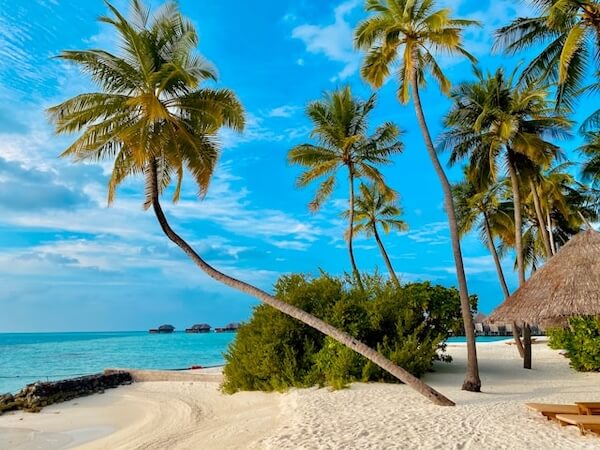 Visa Free Destinations