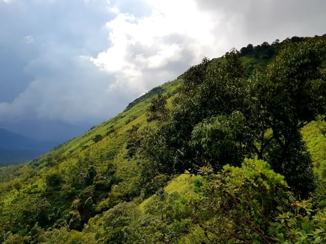 Chikmagalur, Karnataka - Monsoon Destinations In South India