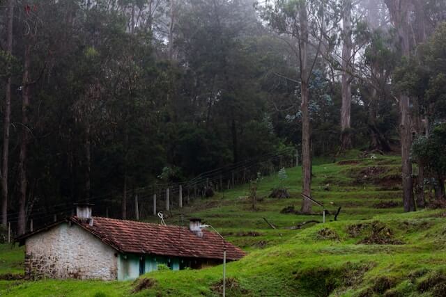 Kodaikanal, Tamil Nadu - Monsoon Destinations In South India