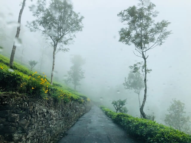 Places To Visit In South India During Monsoon