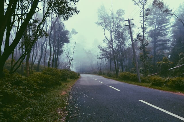 Ponmudi, Kerala - Monsoon Destinations In South India