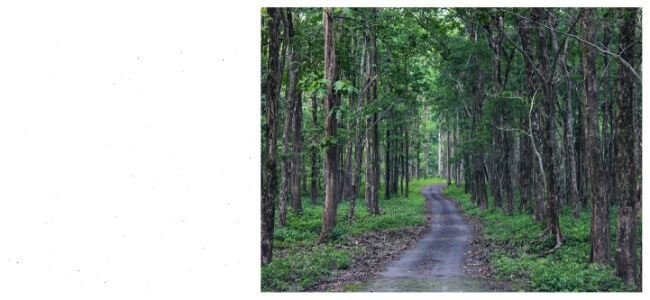 Mahananda Wildlife Sanctuary