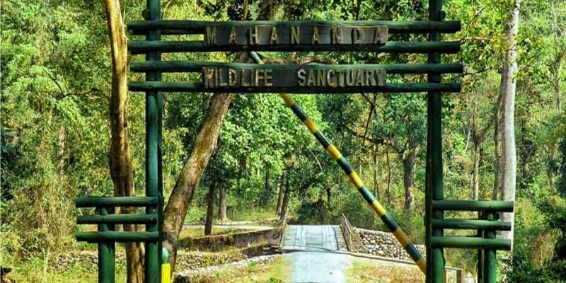 Mahananda Wildlife Sanctuary