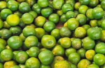 16 Incredible GI Tagged Products of Mysore Region Coorg Orange - GI Tagged Products of Mysore