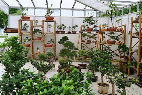 Guide To 182m Statue of Unity - World's Tallest Statue Ekta Nursery SOU