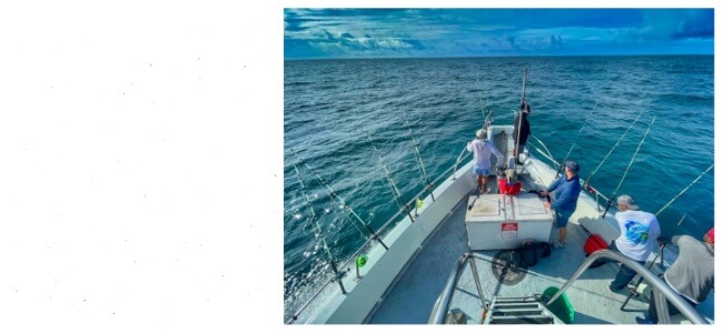 Fishing Charter Booking System To Simplify Guide Operations Fishing Charter Booking System To Simplify Guide Operations