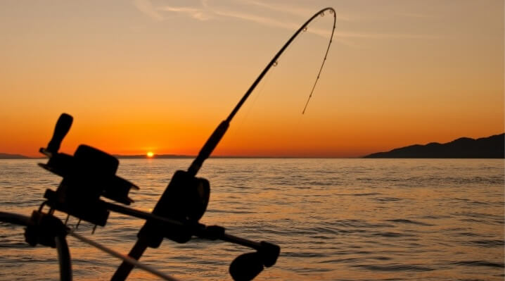 Fishing Charter Booking System To Simplify Guide Operations Fishing Charter Booking System To Simplify Guide Operations